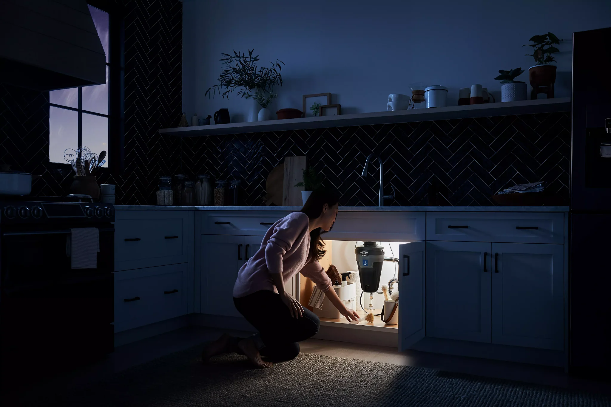 1539-EX-Series-1-Horsepower-Lighted-Garbage-Disposal-3.webp EX Series 1 Horsepower Lighted Garbage Disposal