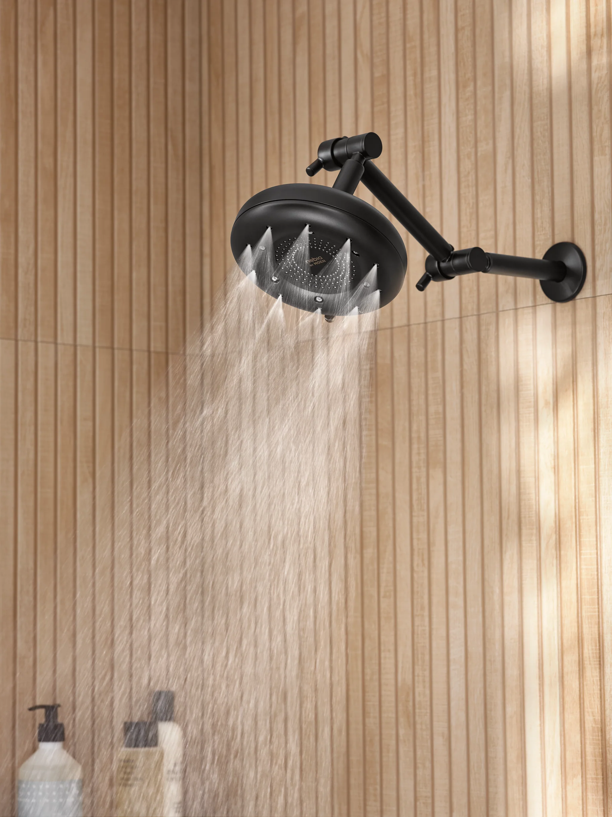 1769-Moen-Shower-Arm-17.webp Moen Shower Arm