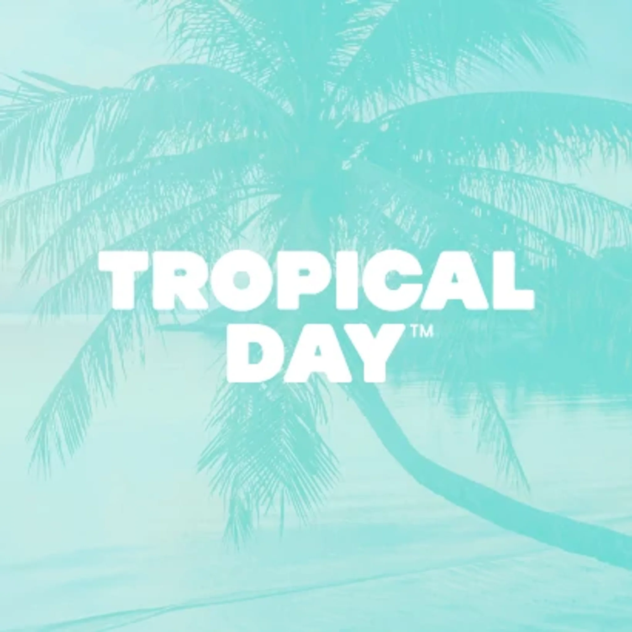 2189-InlyTM-Tropical-DayTM-Aromatherapy-Shower-Capsule-5-pack-4.webp Inly™ Tropical Day™ Aromatherapy Shower Capsule 5-pack