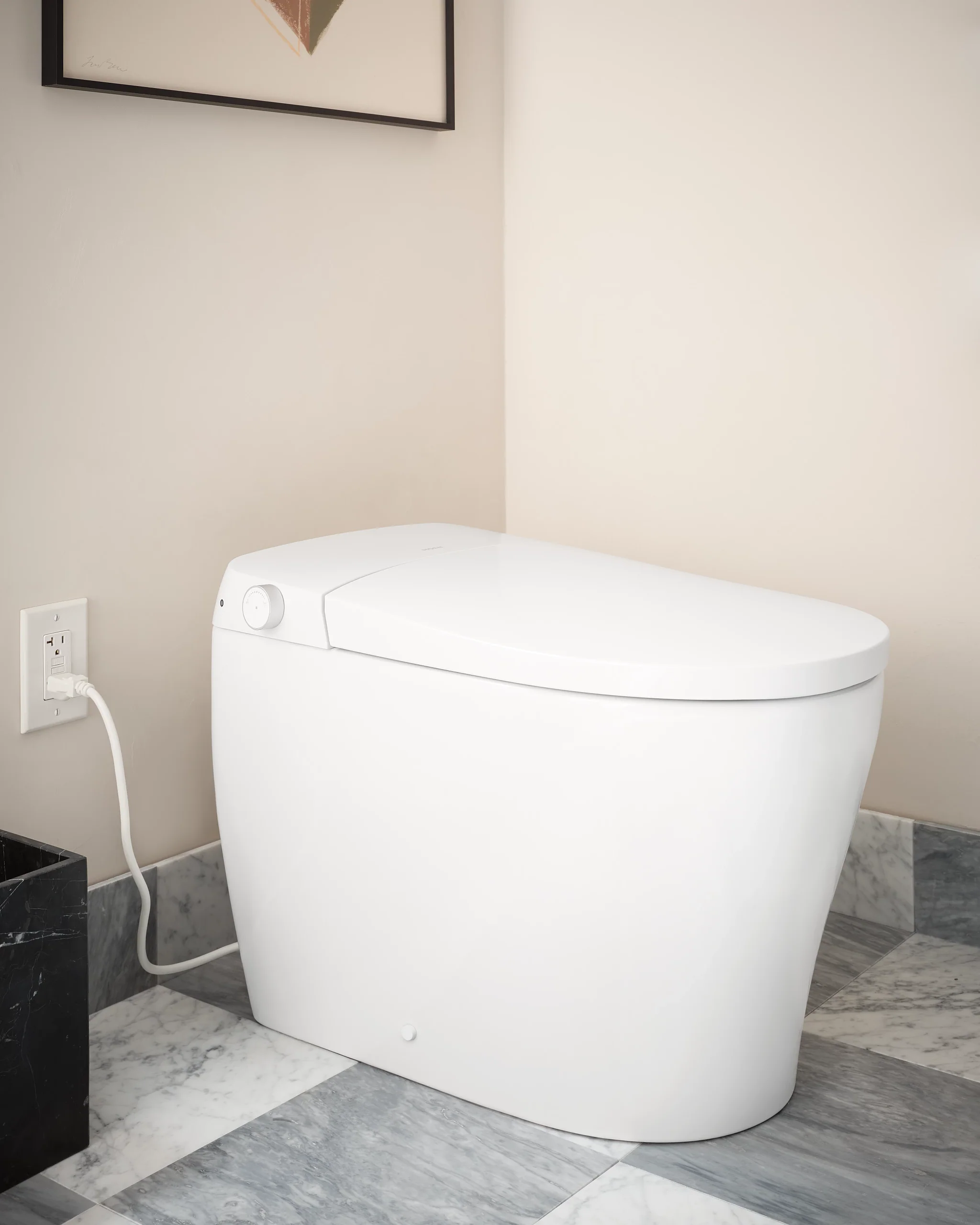 2392-3-Series-Electronic-Cleansing-Toilet-3.webp 3-Series Electronic Cleansing Toilet