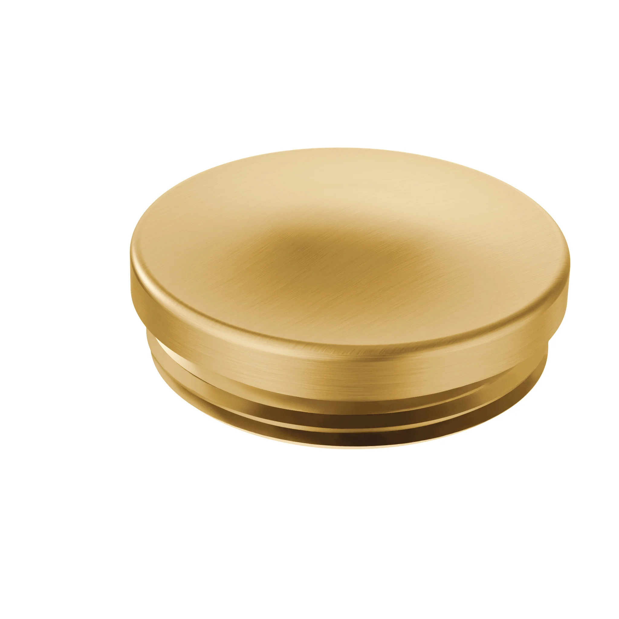 Hinge Pin Caps
